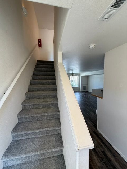 Building Photo - 233 E Shelby Ln