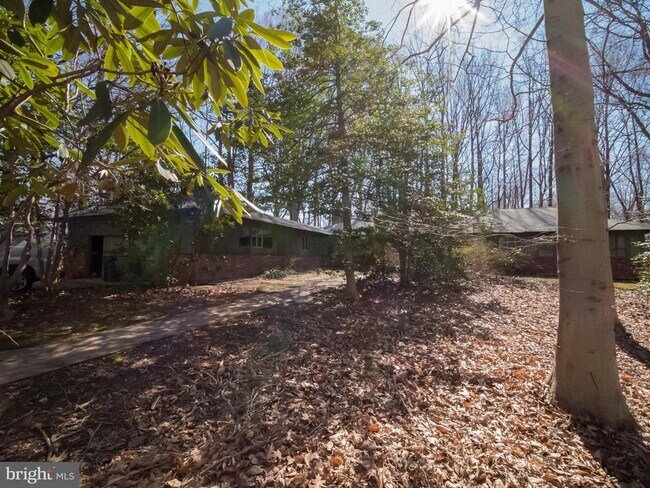 Building Photo - 4313 Woodlark Dr