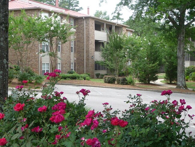 Primary Photo - 508 Patton Chapel Way