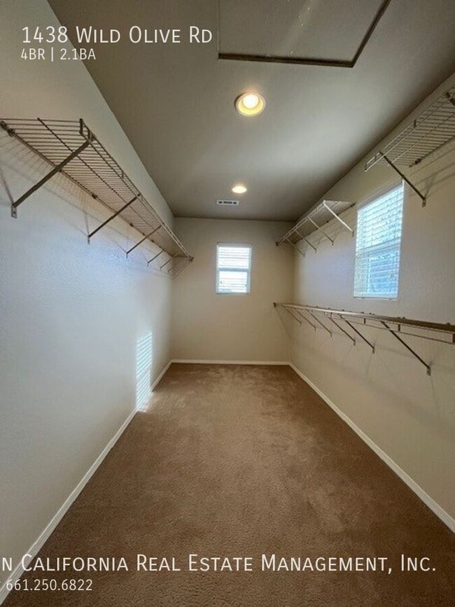 Building Photo - 1438 Wild Olive Rd