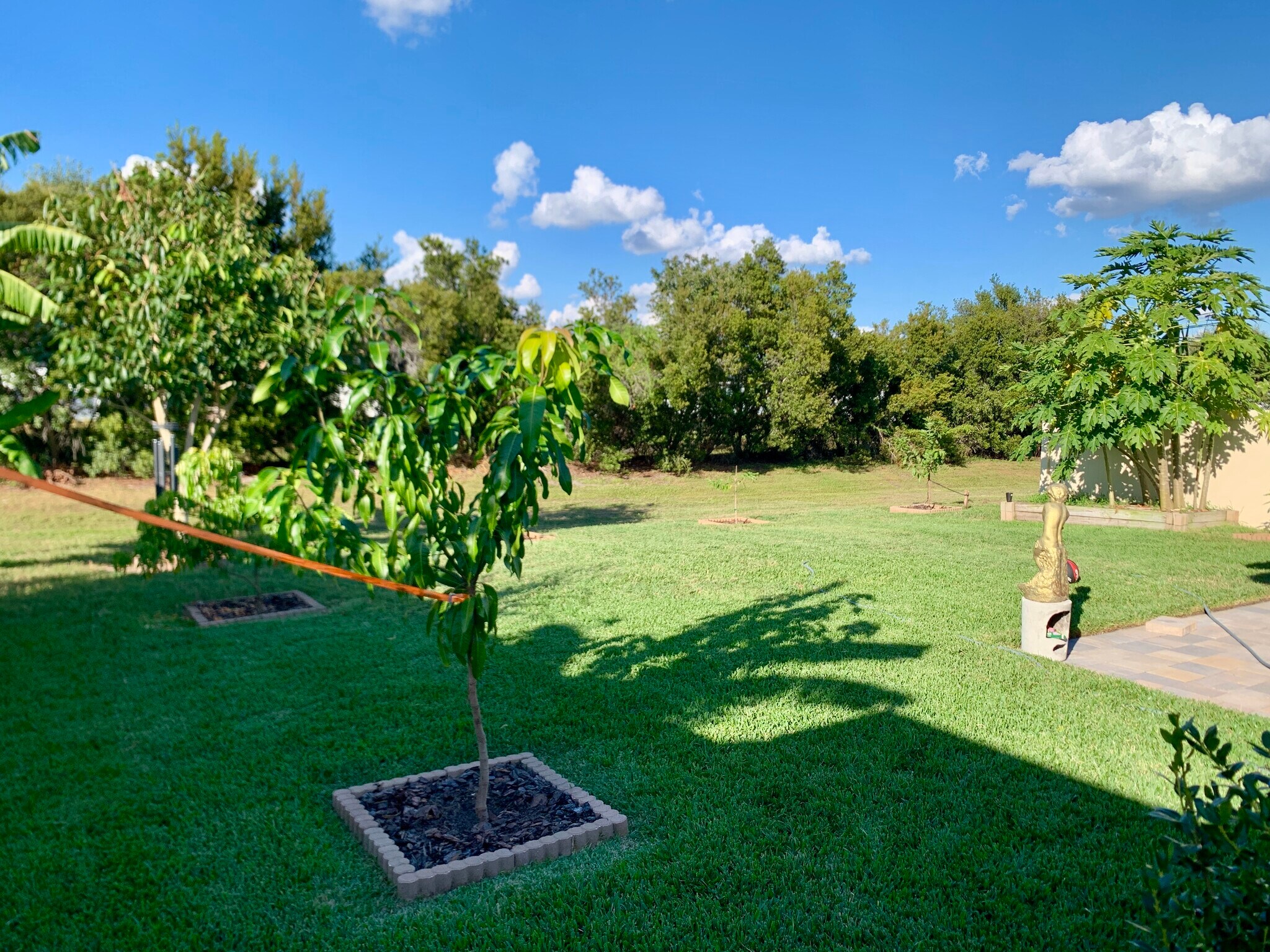 Building Photo - 5438 Keaton Springs Dr