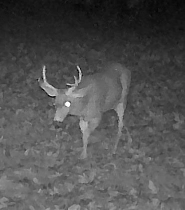 Building Photo - 2804 NW 199th St