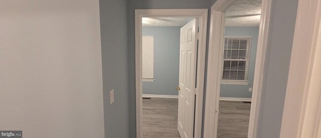 Building Photo - 323 Lindera Ct