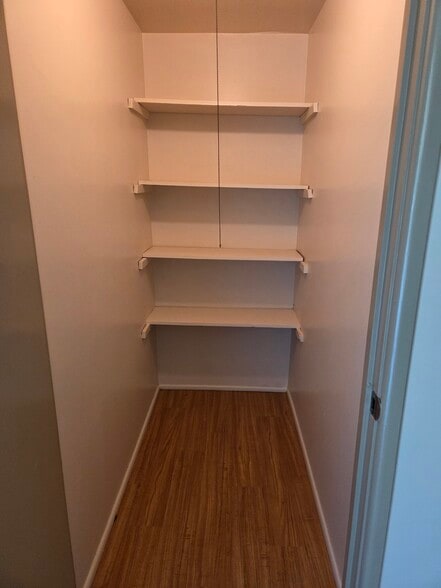 Walk in closet shelving. - 102 Stonecrest