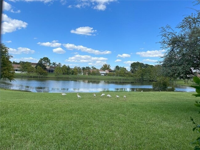 Building Photo - 12736 Newfield Dr