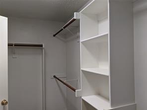 Building Photo - 8029 Spring Peaks Dr