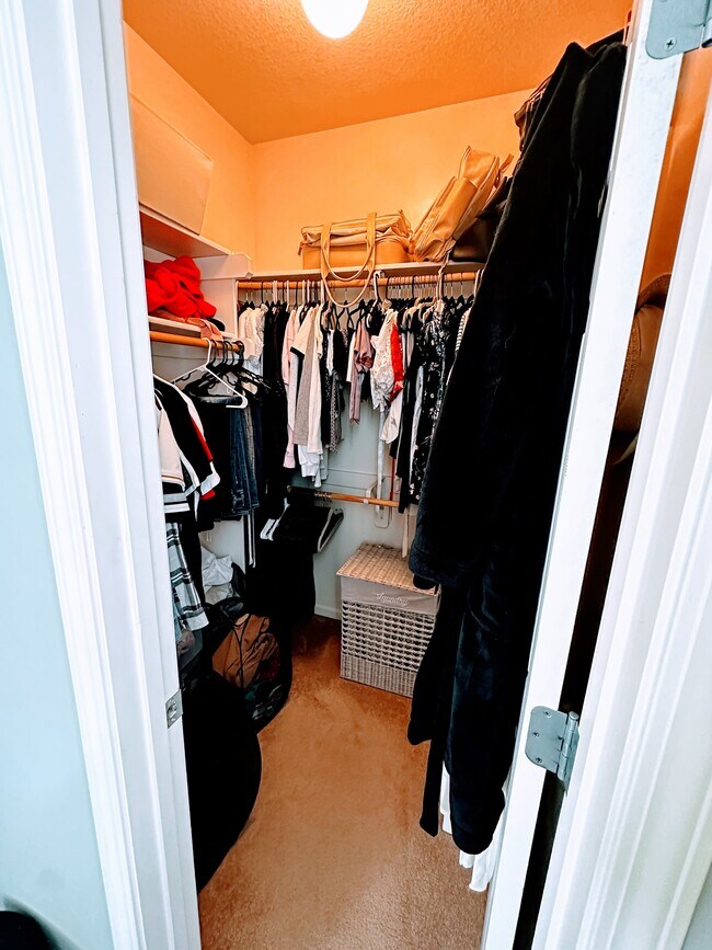 First Bedroom walk-in closet - 9239 Walnut St