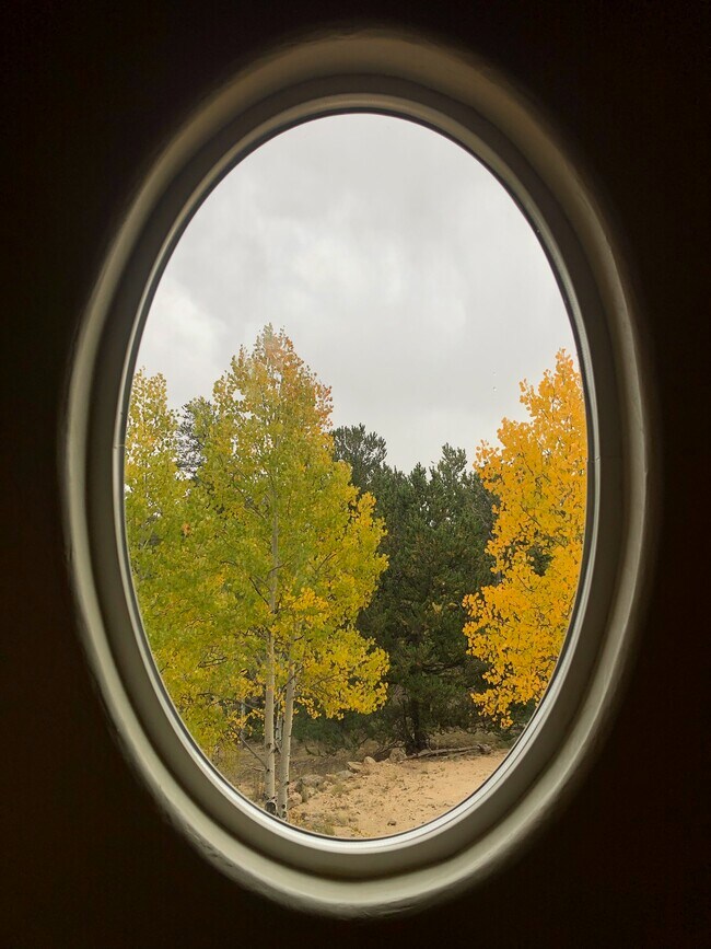 Building Photo - 609 Buffalo Ridge Rd