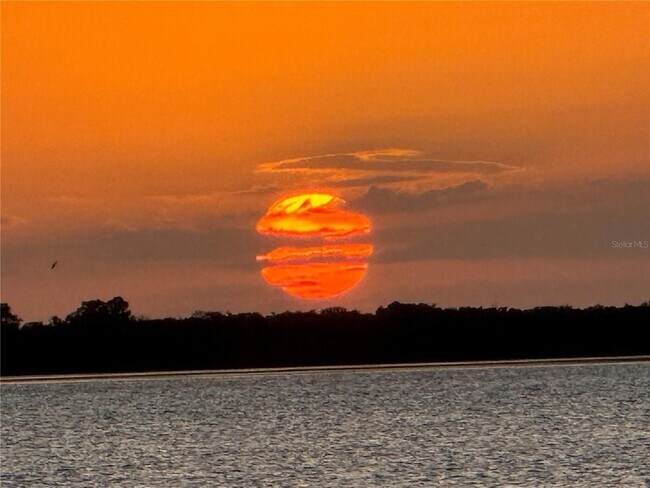 Building Photo - 654 Windrush Bay Dr