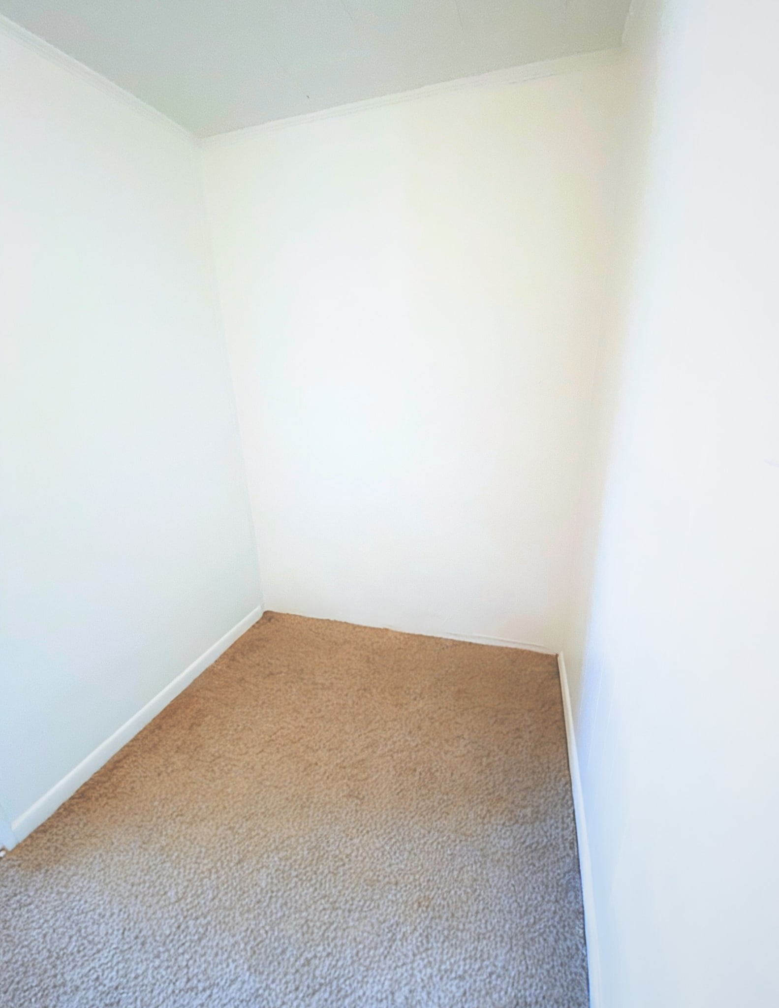 Extra Room - 514 Ivy St