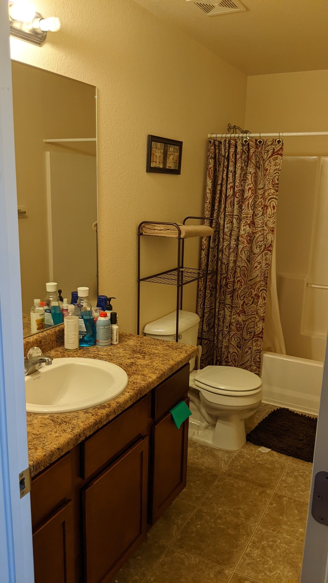 Guest Bath Sink - 5063 Buchanan Dr