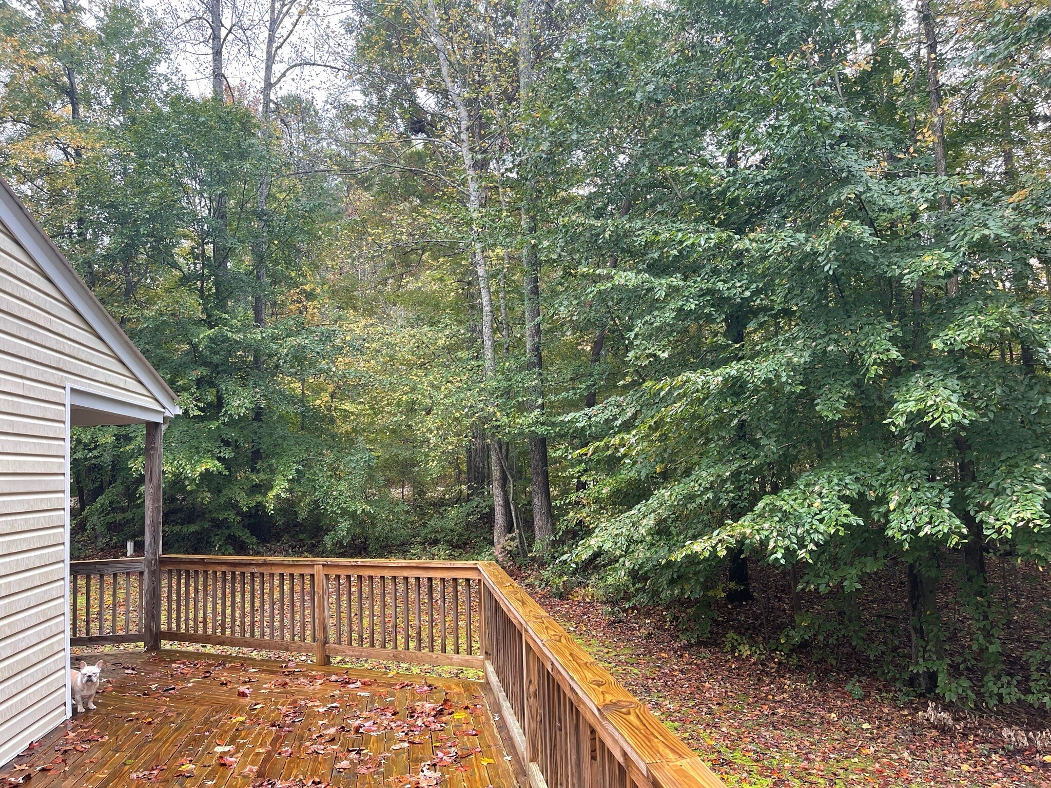 Building Photo - 6314 Springside Dr