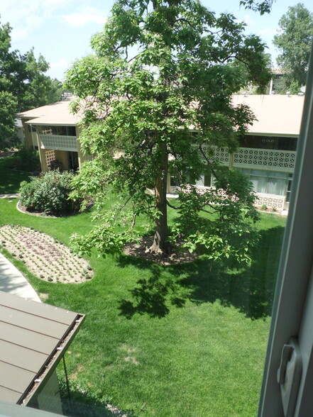 Your Front Window View - 745 S Alton Way