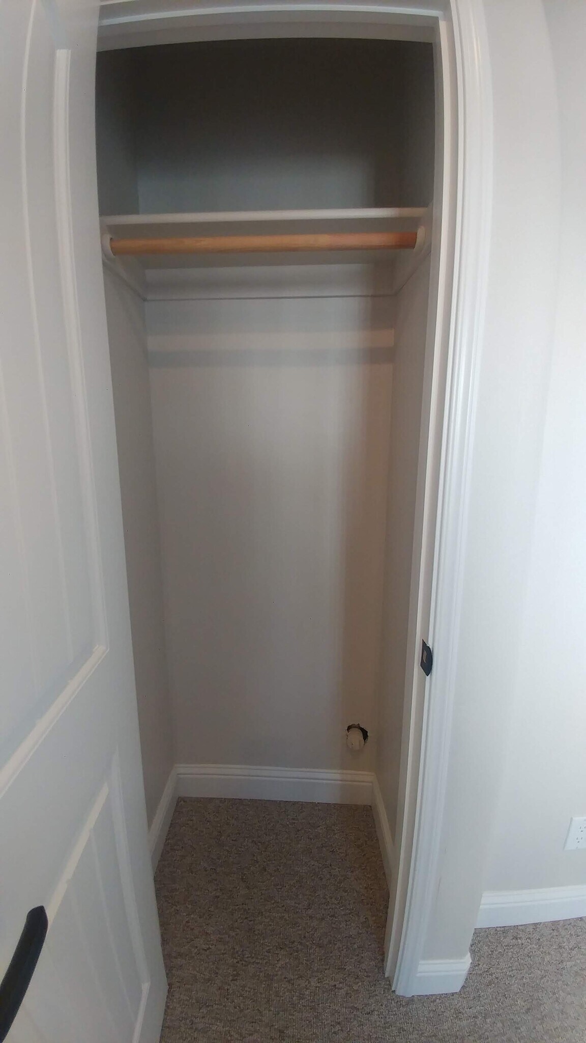 Building Photo - 126 Cowell St