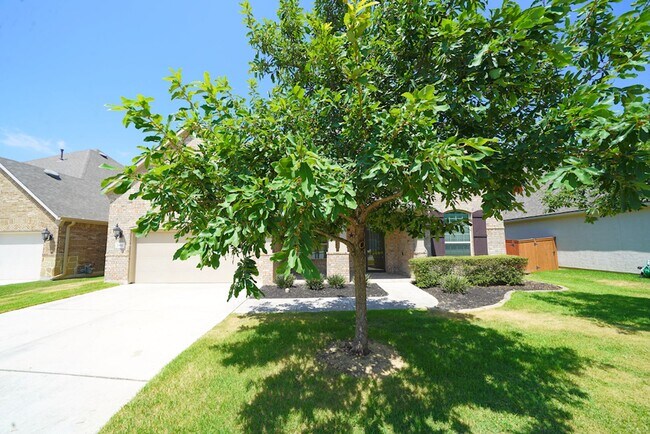 Building Photo - Executive Style Rental Now Available in Bo...