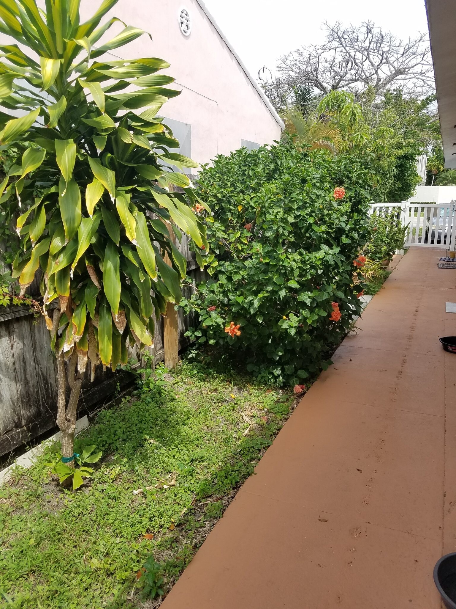 Building Photo - 1408 NE 6th St