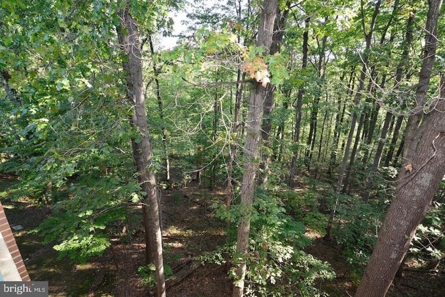 Building Photo - 11803 Breton Ct