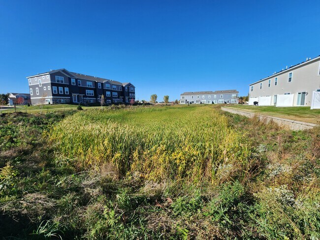 Nearby Wetlands - 13616 Busch Ln