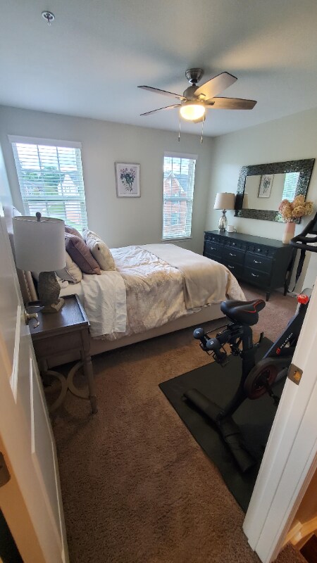 Building Photo - 3023 Grey Fox Cir