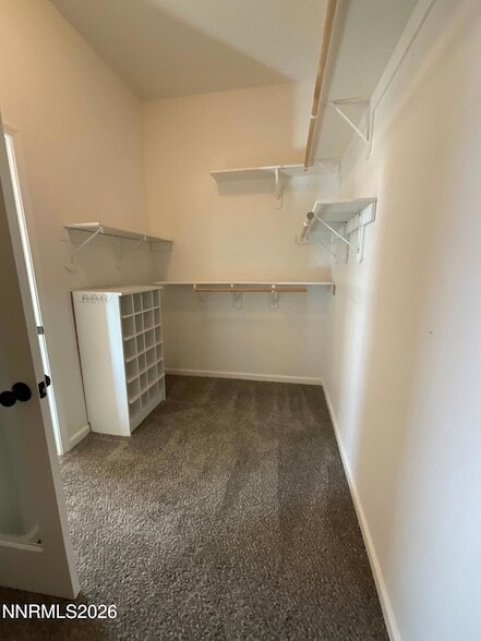 Building Photo - 3783 Big Dipper Ct