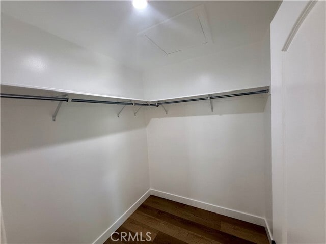 Building Photo - 517 Blossom Ln