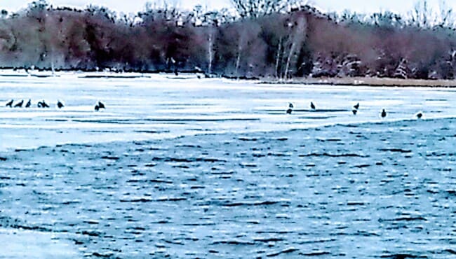 Eagles - 21253 Lake George Blvd