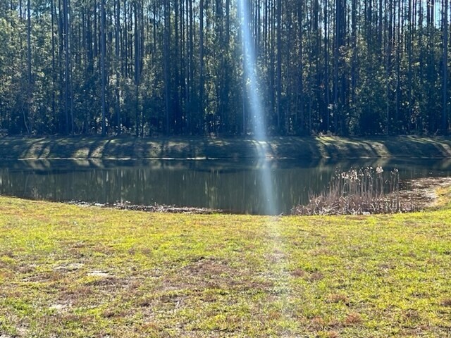 Building Photo - 25 Mainland Lakes Dr