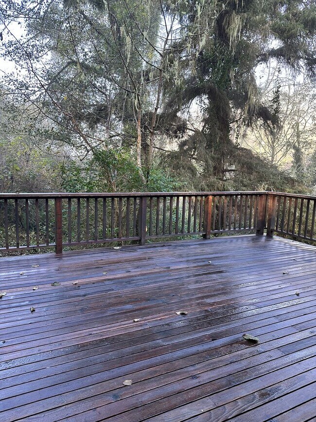 Building Photo - Redwood Cabin Retreat Steps from the Pacific Ocean, Moonstone Beach, CA