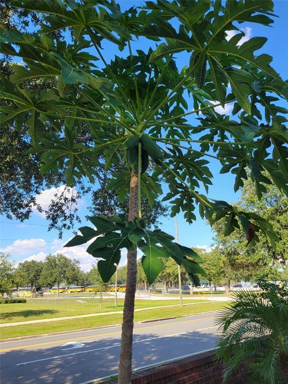 Building Photo - 386 Cello St