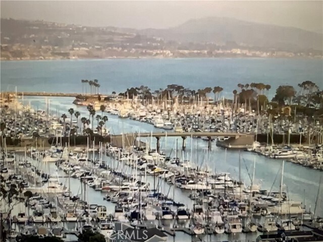 Building Photo - 33966 Malaga Dr