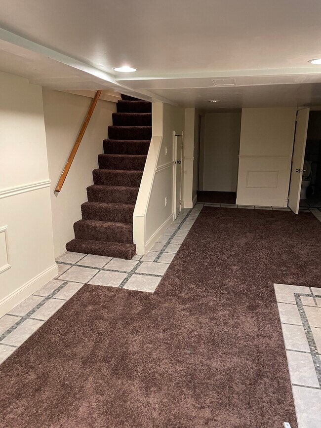 Basement - 924 Fulton St
