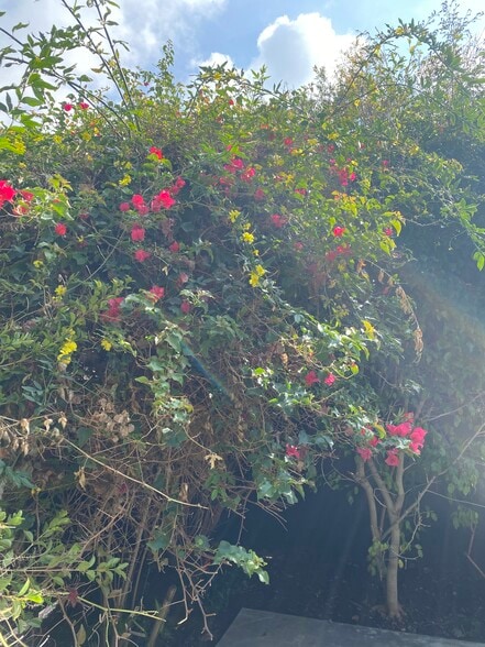 Building Photo - 1338 Berkeley St