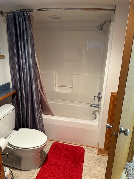 Downstairs Bath - 524 W Shore Dr