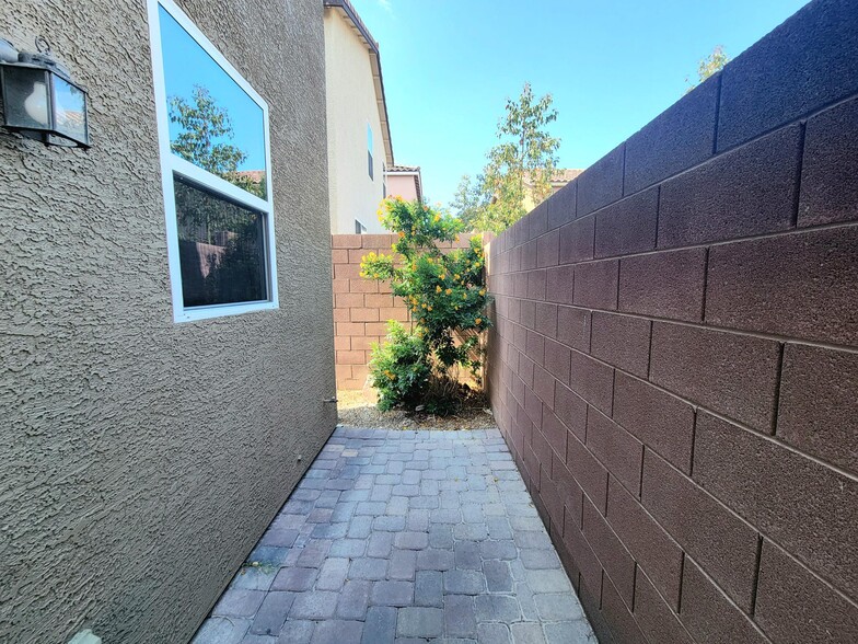 Backyard - 3940 Zodiacal Light St