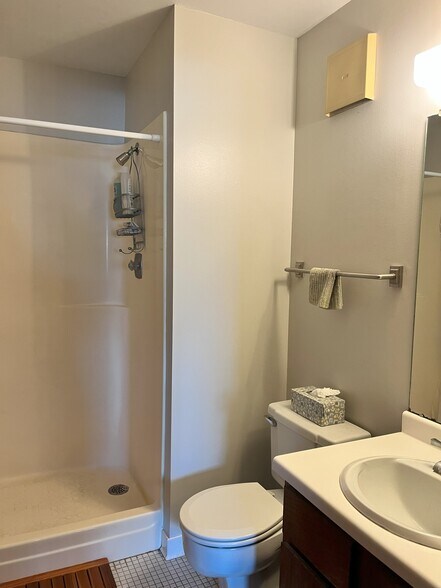 Master bathroom - 121 Washington Ave S