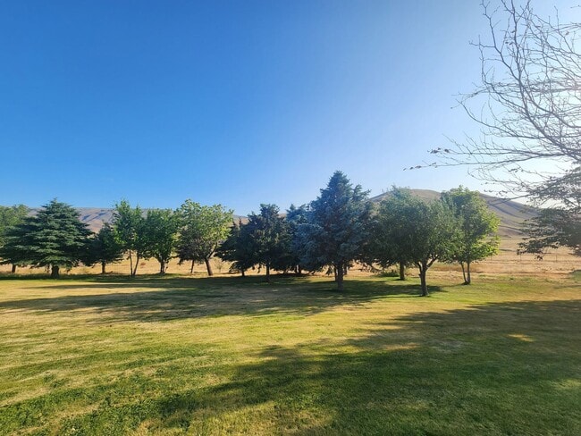Building Photo - Panoramic Rattlesnake Hills View Home on N...