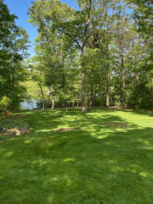 Backyard ( 1/2 acre ). - 472 Yaphank Middle Island Rd