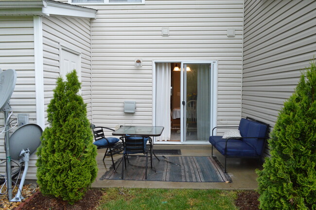 back patio with storage closet - 425 Shadow Glen Dr