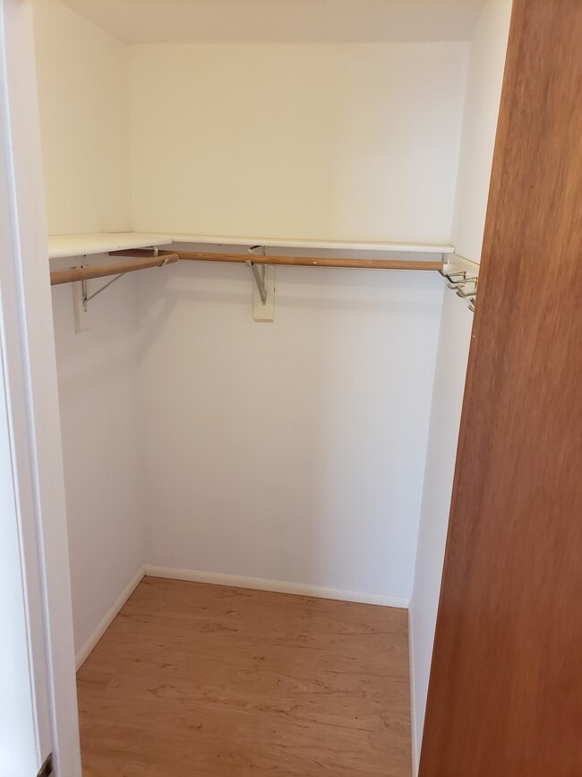 Master Closet - 222 Blake Rd