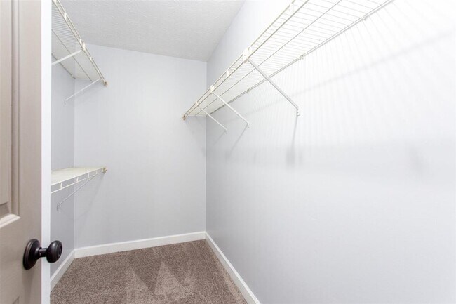 Building Photo - 5735 Manassas Run