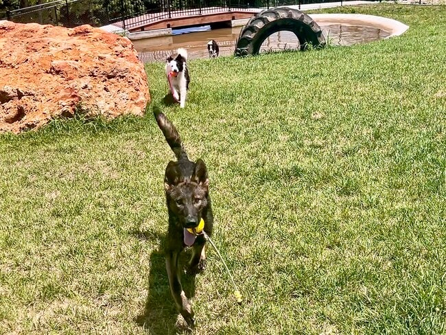 Building Photo - 147 Pinnacle Dr