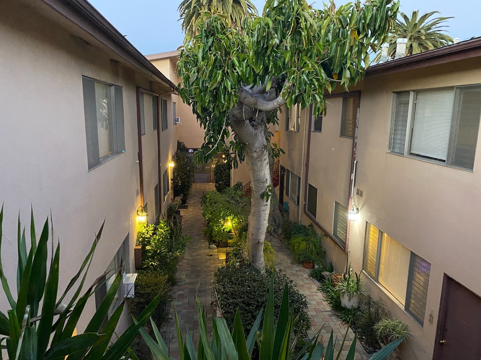 COURTYARD AT DUSK - 3705 Westwood Blvd