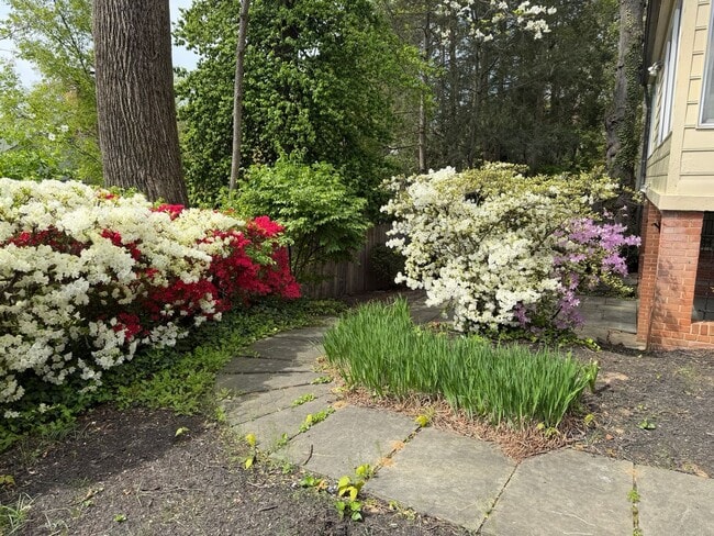 Building Photo - Lovely Home In Sought After Westmoreland Hills