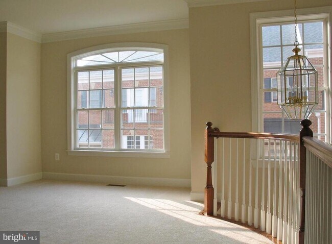 Building Photo - 705 Vestal St