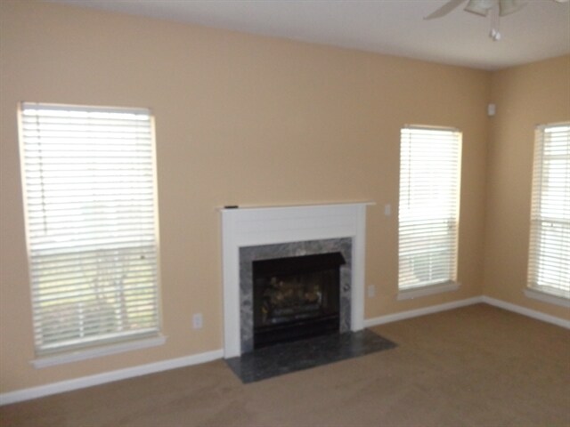 Building Photo - 13312 Bolingbrook Ln