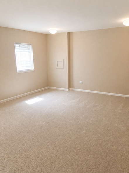Basement - 1513 Meadowsedge Ln