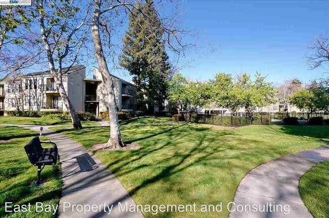 Building Photo - 2 br, 2 bath House - 39400 Albany Common #B