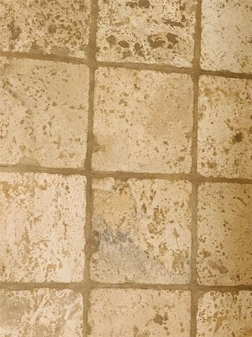 Building Photo - 2621 Ozark Dr