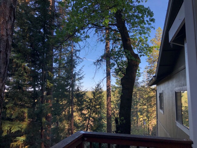 Building Photo - Gorgeous Alta Sierra Views with extra room.