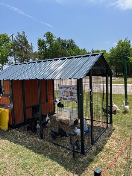 Community chicken coop - 2510 Private Road 1180